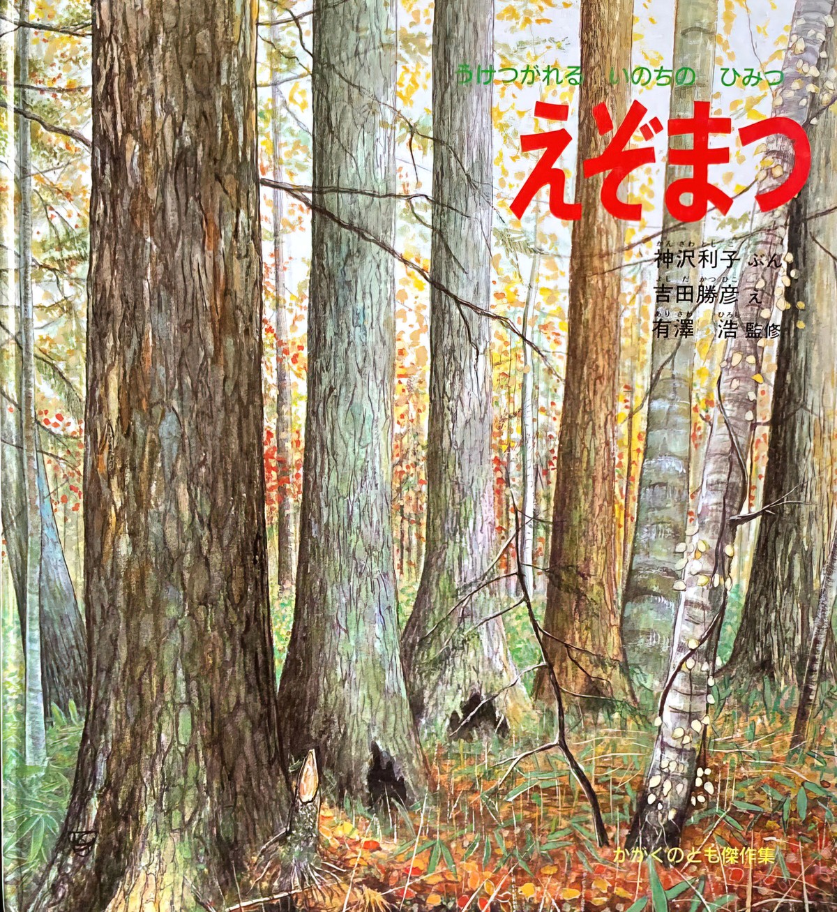えぞまつ　うけつがれるいのちのひみつ 1992 The Secret Life of Ezomatsu. Ezo is a Japanese variety of spruce tree